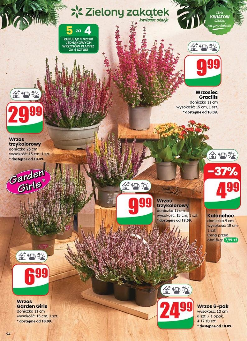 Gazetka promocyjna DINO str. 54