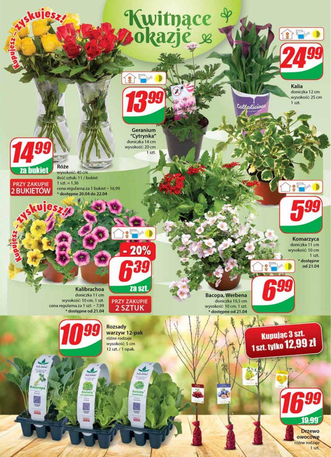 Gazetka promocyjna DINO str. 19