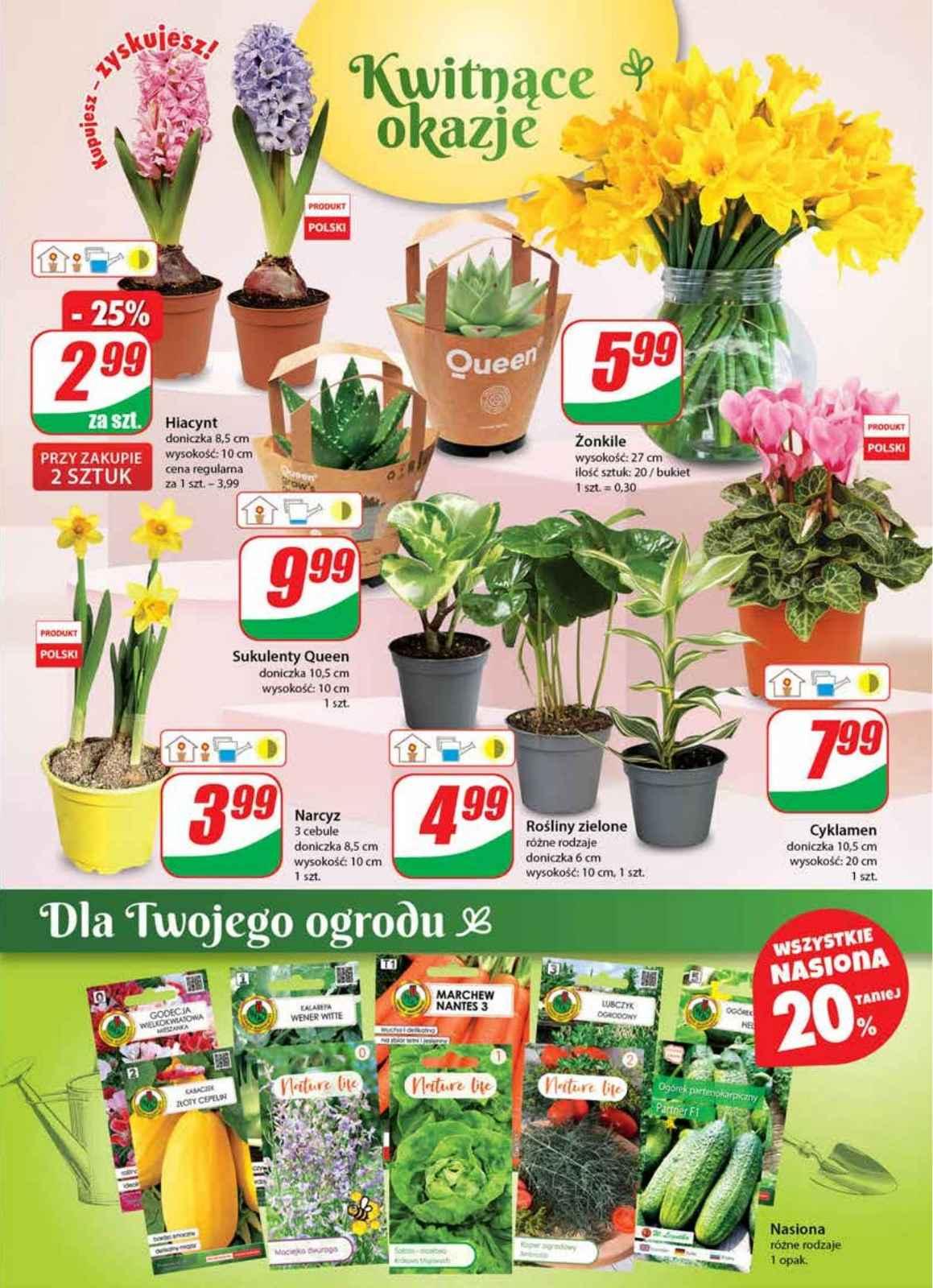 Gazetka promocyjna DINO str. 19